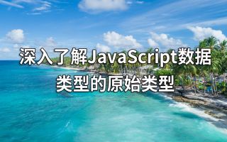深入了解JavaScript数据类型的原始类型