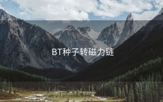 BT种子转磁力链
