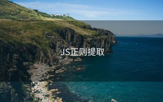 JS正则提取