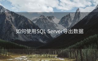 如何使用SQL Server导出数据