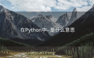 在Python中--是什么意思