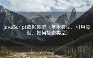 javaScript数据类型(基本类型、引用类型、如何检查类型)