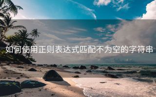如何使用正则表达式匹配不为空的字符串