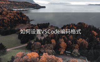 如何设置VSCode编码格式