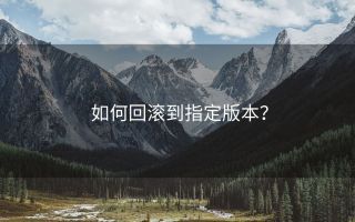 如何回滚到指定版本?