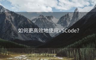 如何更高效地使用VSCode？