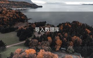 导入数据库