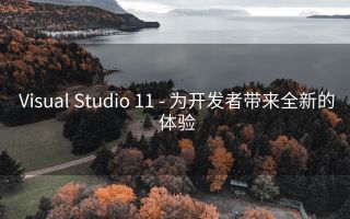 Visual Studio 11 - 为开发者带来全新的体验