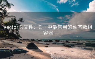 vector头文件:C++中最常用的动态数组容器
