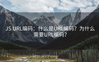 JS URL编码：什么是URL编码？为什么需要URL编码？