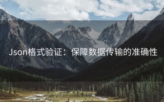 Json格式验证:保障数据传输的准确性