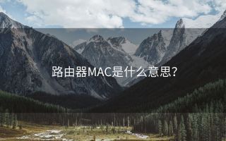 路由器MAC是什么意思?