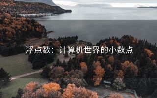 浮点数:计算机世界的小数点
