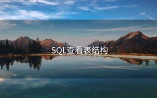 SQL查看表结构