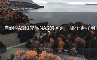 自组NAS和成品NAS的区别,哪个更好用?