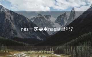 nas一定要用nas硬盘吗?