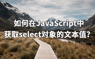 如何在JavaScript中获取select对象的文本值?